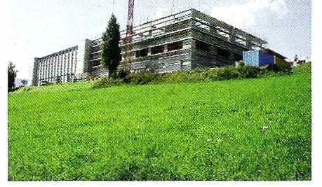 pict1.jpg