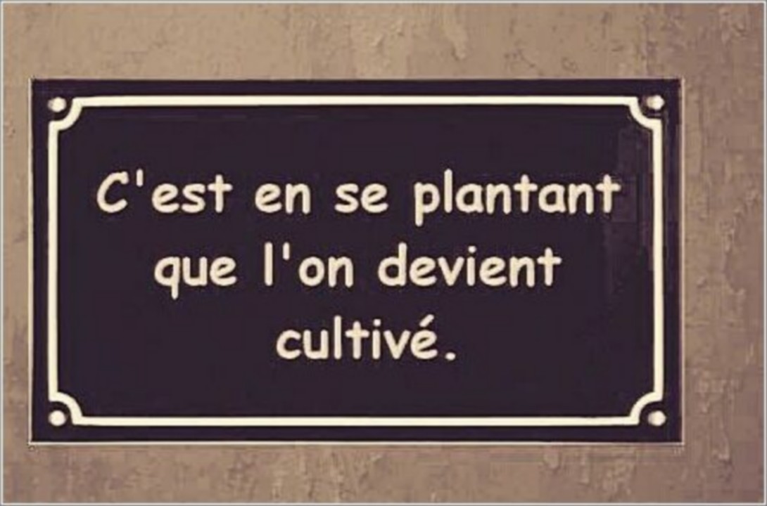 Culture
