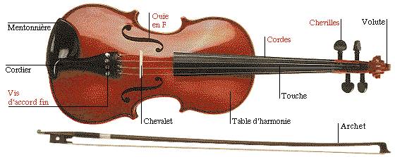 Violon